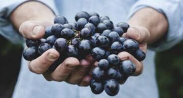 Grapes help strengthen erection